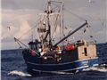 New Initiatives for Rights-based Fishing. Thumbnail