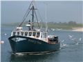 Safeguarding New England's Groundfish Fishery and Marine Ecosystem through Market-based Management Programs Thumbnail
