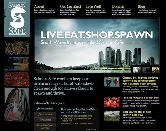 Salmon Safe's New 2010 Website