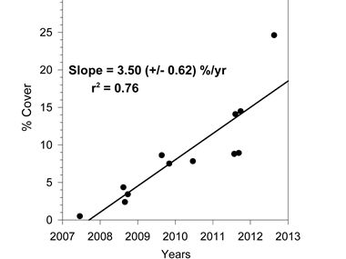 Percent Coverage with Eelgrass in Hadley Point Restoration Area 2007-2012