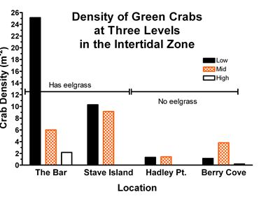 Crab density in intertidal areas of Frenchman Bay