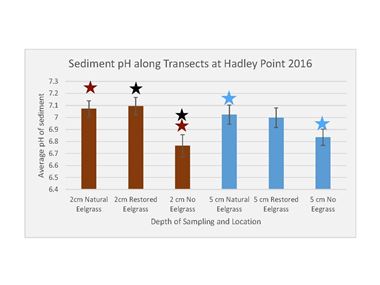 Average Sediment pH in Eelgrass Areas at Hadley Point
