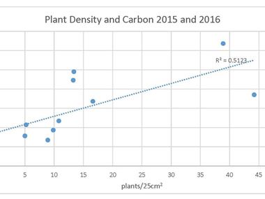Correlation Between Eelgrass Density and Carbon