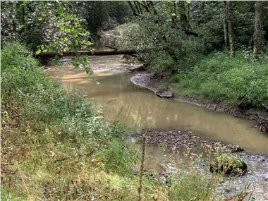 Adjacent stream flowing from area with reclaimed surface mine.  Attendees at area listening sessions complained that poor water quality made it hard to attract new business to coal country.