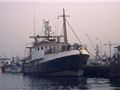 Fishing Subsidies and the World Trade Organization Thumbnail
