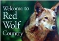 Facilitating the Development of a Private Voluntary Market for Red Wolf Habitat Credits: Identifying Buyers and Designing a Trading Platform Thumbnail