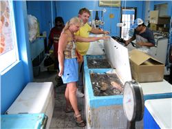 Palau Fish Market
