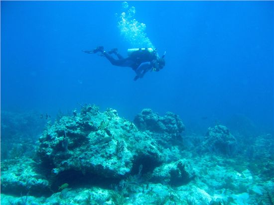 Barren Reef