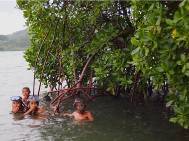 Children playing in mangroves near Pohnpei, Federated States of Micronesia