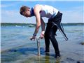 Ocean Acidification Mitigation in Eelgrass Beds in Frenchman Bay Thumbnail