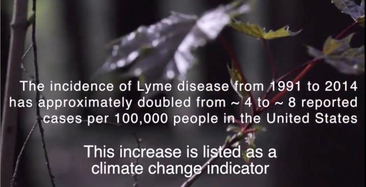 Frame shot movie Lyme Disease Video Winner