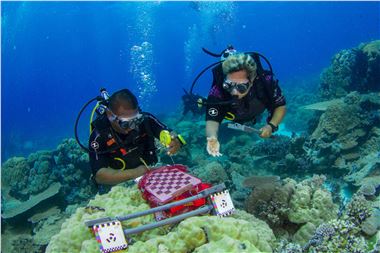 Pacific Islanders gathering crucial data on reef health.