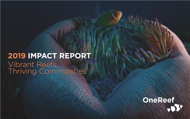 2019 One Reef Impact Report Picture
