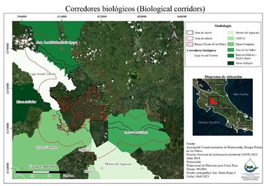 Fig. 2. Map showing the SINAC Biological Corridors and the two corridors proposed by Moran et al. 2019. The Children’s Eternal Rainforest has focused on the Pájaro Campana Corridor in past conservation efforts.