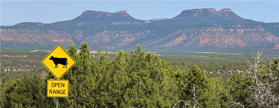 Bears Ears Buttes