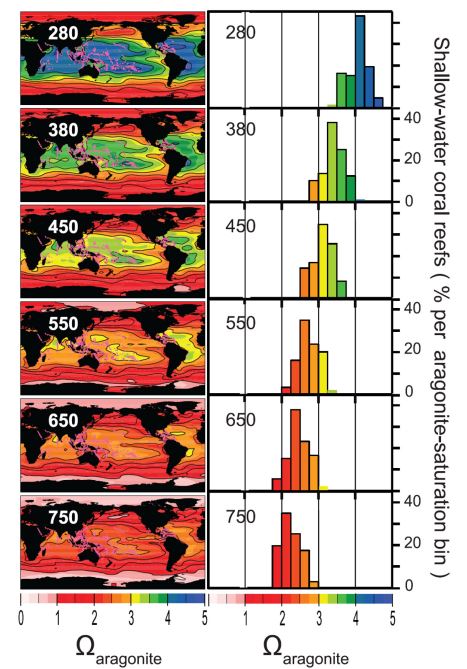 Aragonite saturation state and coral reefs