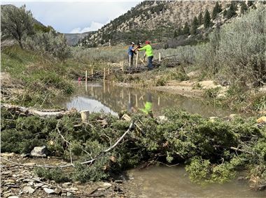 Stream restoration with beaver dam analog construction