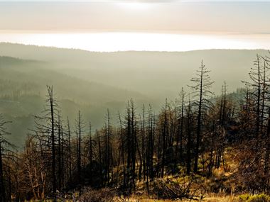 Kings Canyon, California