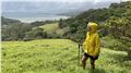 Creating Connections: Mapping biological corridors and facilitating ecological connectivity of the Children’s Eternal Rainforest Thumbnail